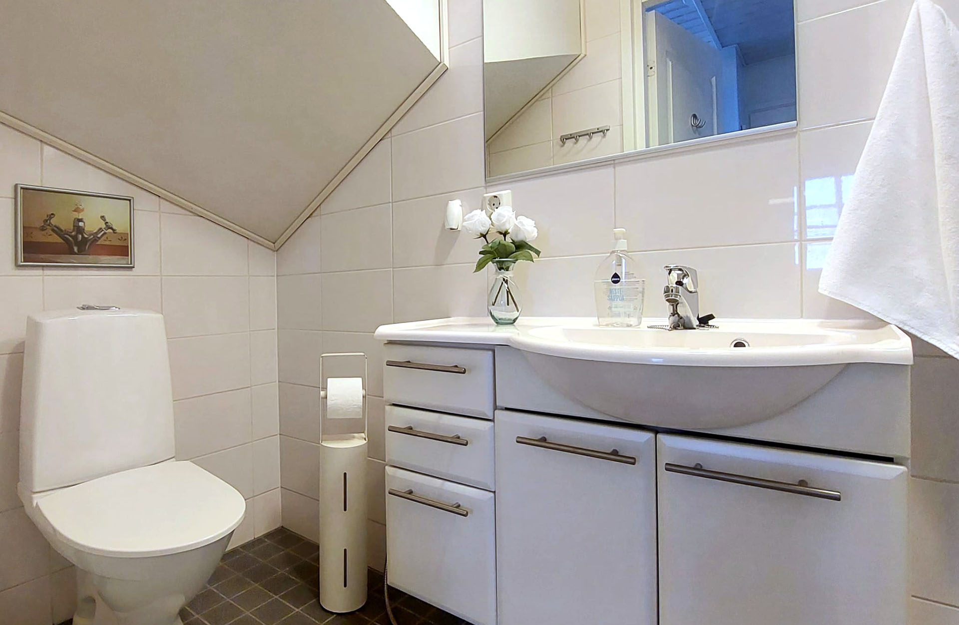 Levin Lumienkeli A6, alakerran kylpyhuone / bathroom downstairs